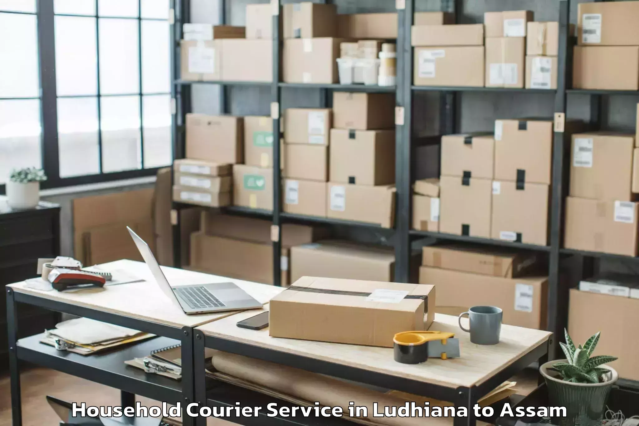 Book Ludhiana to Dispur Household Courier Online